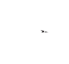 Honorary Mention, International documentary competition